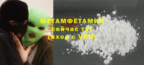 сатива Осинники