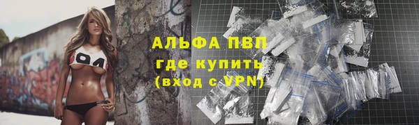 стафф Алексин