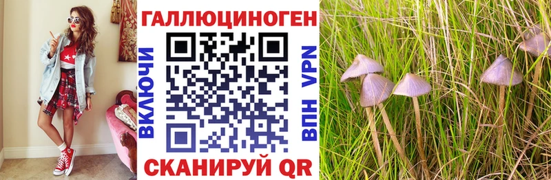 Галлюциногенные грибы прущие грибы  Шатура 
