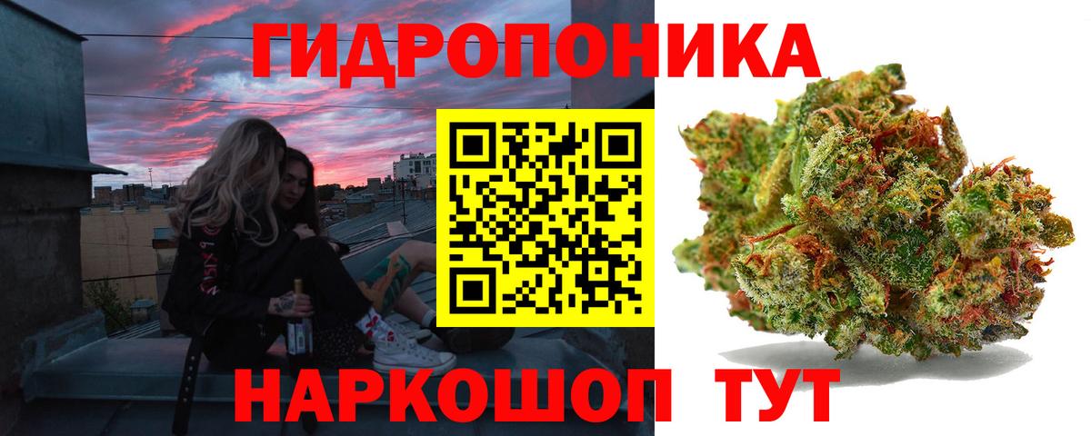 Бошки марихуана сатива  Вход с VPN  Шатура  Бошки Шишки семена  Бошки марихуана OG Kush 